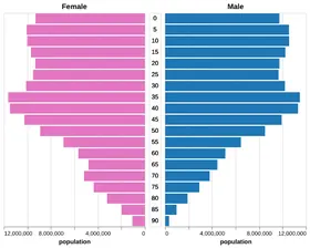 Thumbnail of the Altair example “US Population Pyramid Over Time”